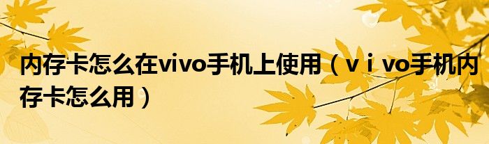 内存卡怎么在vivo手机上使用（vⅰvo手机内存卡怎么用）