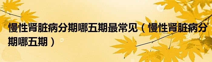 慢性肾脏病分期哪五期最常见（慢性肾脏病分期哪五期）