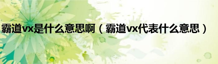 霸道vx是什么意思啊（霸道vx代表什么意思）