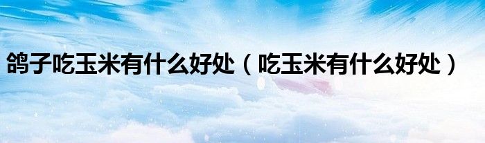鸽子吃玉米有什么好处（吃玉米有什么好处）