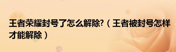 王者荣耀封号了怎么解除?（王者被封号怎样才能解除）