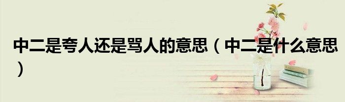 中二是夸人还是骂人的意思（中二是什么意思）