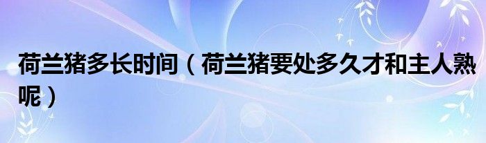 荷兰猪多长时间（荷兰猪要处多久才和主人熟呢）