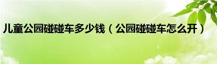 儿童公园碰碰车多少钱（公园碰碰车怎么开）