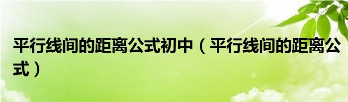 平行线间的距离公式初中（平行线间的距离公式）