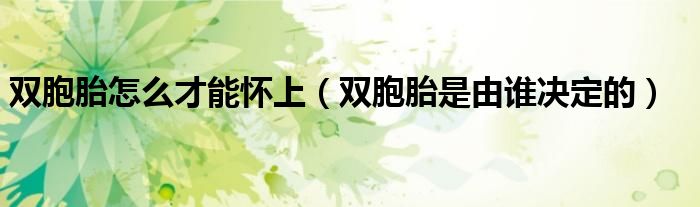 双胞胎怎么才能怀上（双胞胎是由谁决定的）