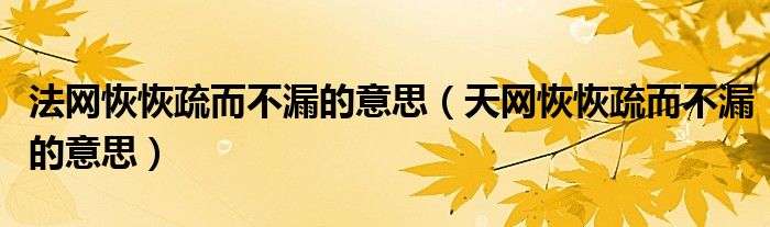 法网恢恢疏而不漏的意思（天网恢恢疏而不漏的意思）