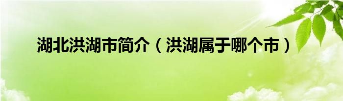 湖北洪湖市简介（洪湖属于哪个市）