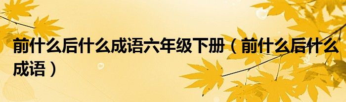 前什么后什么成语六年级下册（前什么后什么成语）