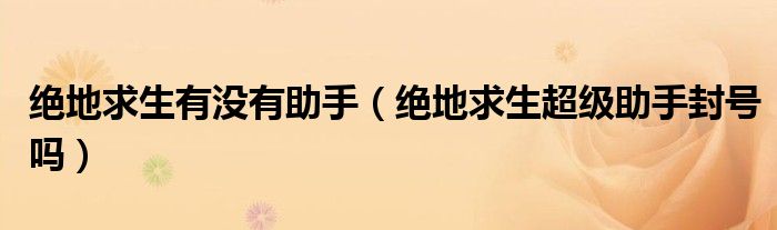 绝地求生有没有助手（绝地求生超级助手封号吗）