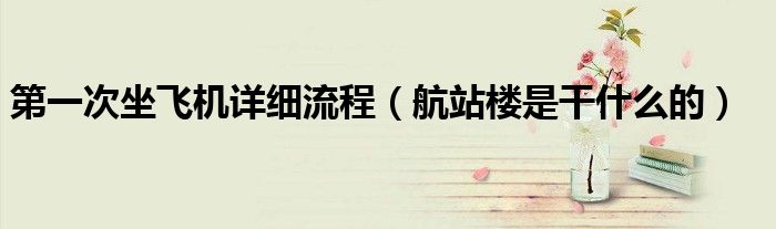 第一次坐飞机详细流程（航站楼是干什么的）