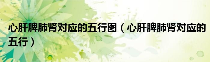 心肝脾肺肾对应的五行图（心肝脾肺肾对应的五行）