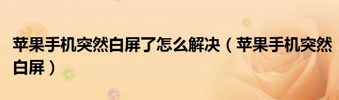 苹果手机突然白屏了怎么解决（苹果手机突然白屏）