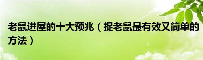老鼠进屋的十大预兆（捉老鼠最有效又简单的方法）