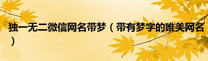 独一无二微信网名带梦（带有梦字的唯美网名）
