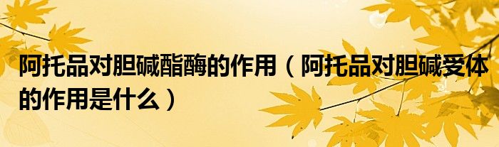 阿托品对胆碱酯酶的作用（阿托品对胆碱受体的作用是什么）
