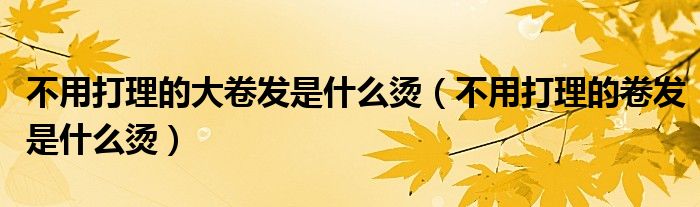 不用打理的大卷发是什么烫（不用打理的卷发是什么烫）