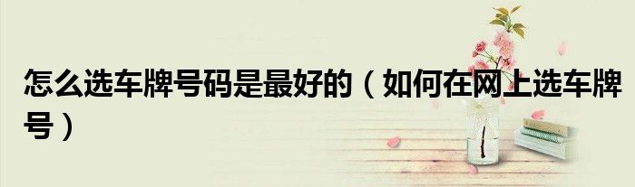 怎么选车牌号码是最好的（如何在网上选车牌号）