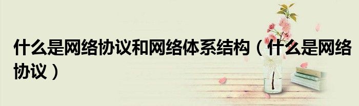 什么是网络协议和网络体系结构（什么是网络协议）