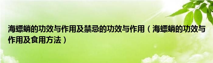 海螵蛸的功效与作用及禁忌的功效与作用（海螵蛸的功效与作用及食用方法）