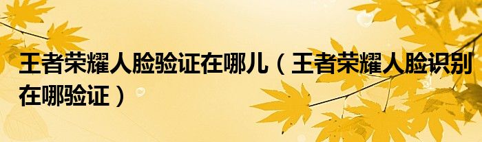 王者荣耀人脸验证在哪儿（王者荣耀人脸识别在哪验证）