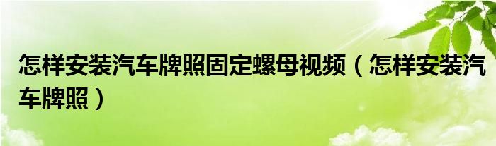 怎样安装汽车牌照固定螺母视频（怎样安装汽车牌照）