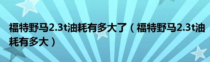 福特野马2.3t油耗有多大了（福特野马2.3t油耗有多大）