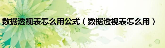数据透视表怎么用公式（数据透视表怎么用）