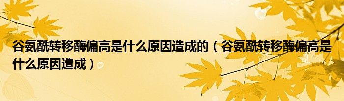 谷氨酰转移酶偏高是什么原因造成的（谷氨酰转移酶偏高是什么原因造成）