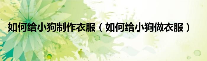 如何给小狗制作衣服（如何给小狗做衣服）