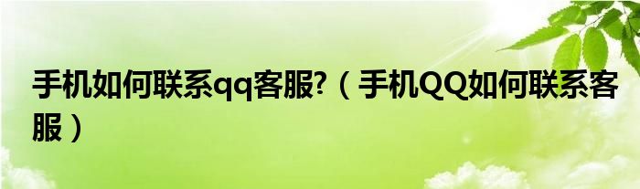 手机如何联系qq客服?（手机QQ如何联系客服）