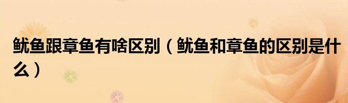 鱿鱼跟章鱼有啥区别（鱿鱼和章鱼的区别是什么）