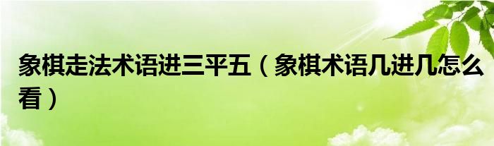 象棋走法术语进三平五（象棋术语几进几怎么看）