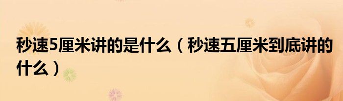 秒速5厘米讲的是什么（秒速五厘米到底讲的什么）