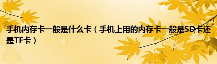 手机内存卡一般是什么卡（手机上用的内存卡一般是SD卡还是TF卡）