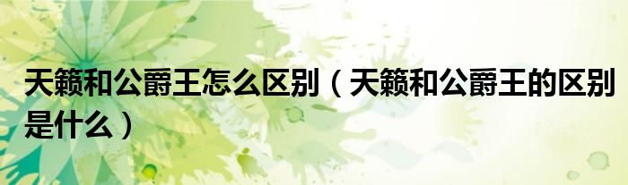 天籁和公爵王怎么区别（天籁和公爵王的区别是什么）