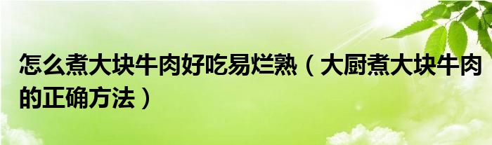 怎么煮大块牛肉好吃易烂熟（大厨煮大块牛肉的正确方法）