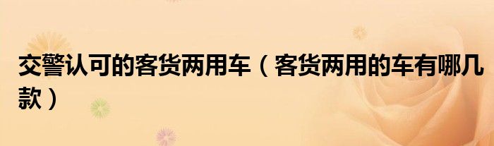 交警认可的客货两用车（客货两用的车有哪几款）