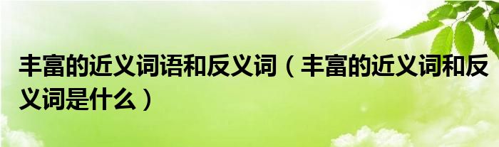 丰富的近义词语和反义词（丰富的近义词和反义词是什么）