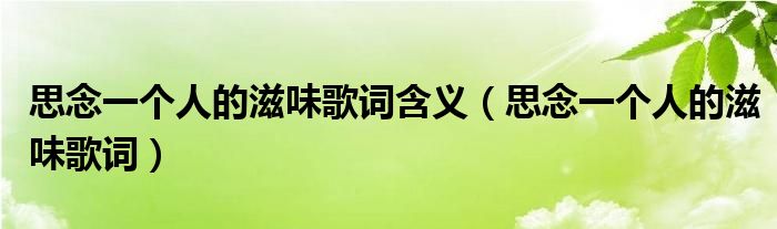 思念一个人的滋味歌词含义（思念一个人的滋味歌词）