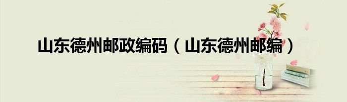 山东德州邮政编码（山东德州邮编）
