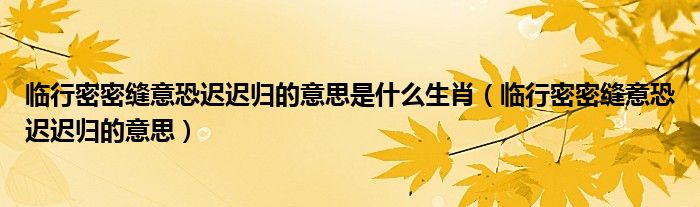 临行密密缝意恐迟迟归的意思是什么生肖（临行密密缝意恐迟迟归的意思）