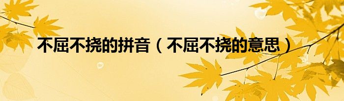 不屈不挠的拼音（不屈不挠的意思）