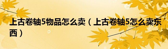 上古卷轴5物品怎么卖（上古卷轴5怎么卖东西）