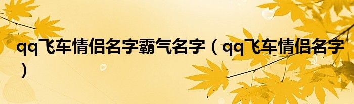 qq飞车情侣名字霸气名字（qq飞车情侣名字）