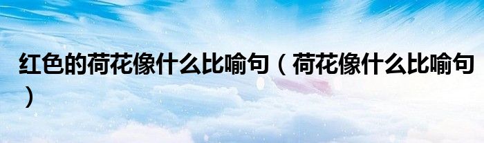 红色的荷花像什么比喻句（荷花像什么比喻句）