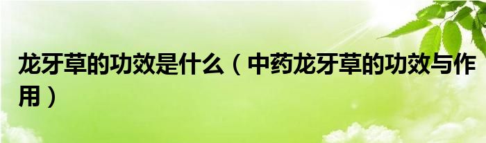 龙牙草的功效是什么（中药龙牙草的功效与作用）