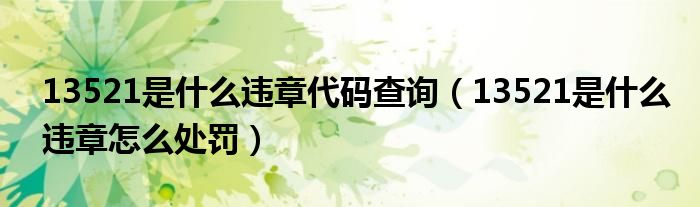 13521是什么违章代码查询（13521是什么违章怎么处罚）