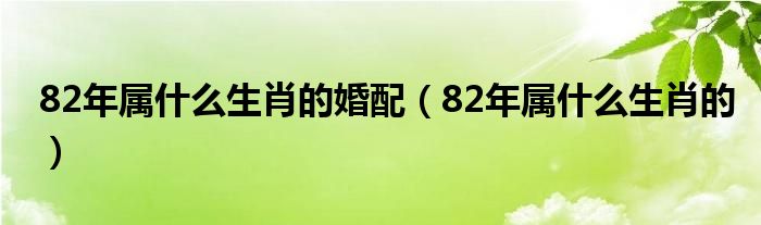 82年属什么生肖的婚配（82年属什么生肖的）