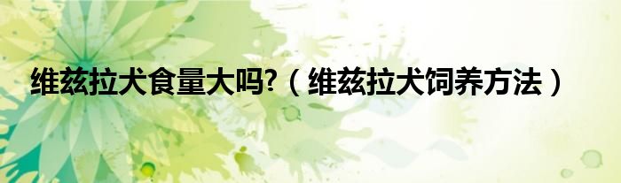 维兹拉犬食量大吗?（维兹拉犬饲养方法）